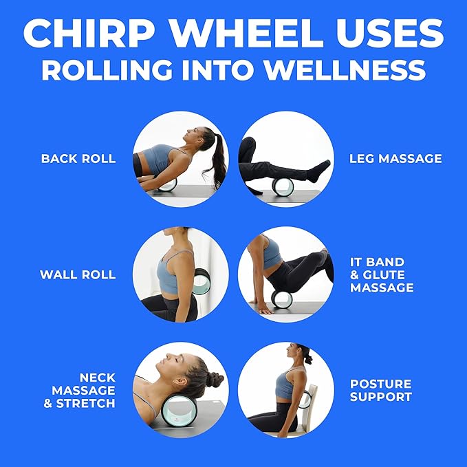 Chirp Wheel Foam Roller – Targeted Back & Neck Relief, Lumbar Spine Stretcher, Spinal Decompression Back Stretcher, Massage Roller with Density Foam for Physical Therapy, Supports 500lbs, 6-Inch Mint