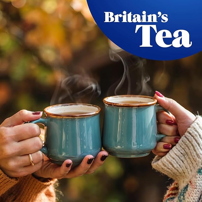 Tetley - Original Tea Bags 240 - 750g - Bloomnest