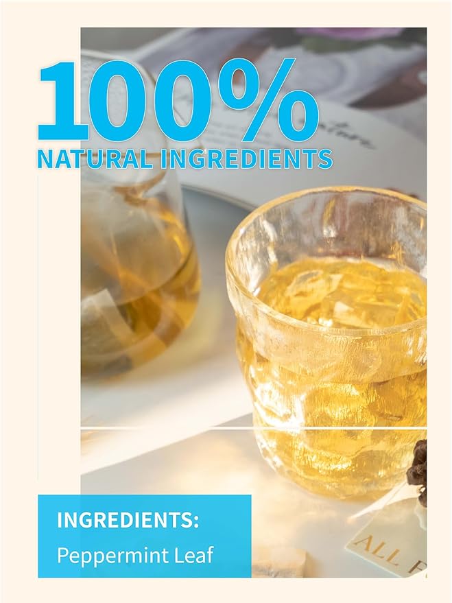 TeeLux Peppermint Tea Bags, Natural Peppermint Herbal Tea, Refreshing & Soothing Mint Tea, Caffeine Free, 100 Count - Bloomnest