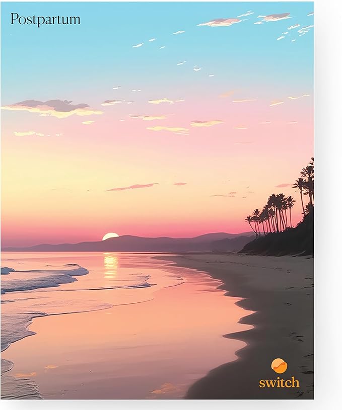 Switch Research Postpartum Journal - 2023 Daily Pregnancy Planner & Support for First Time Moms SwitchResearch