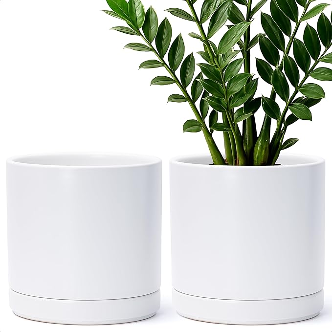 D'vine Dev Set of 2 Plants Pots, 8.2 Inch Ceramic Planter Pot for Plants with Drainage Hole and Saucer, White, 94-V-D-1 - Bloomnest