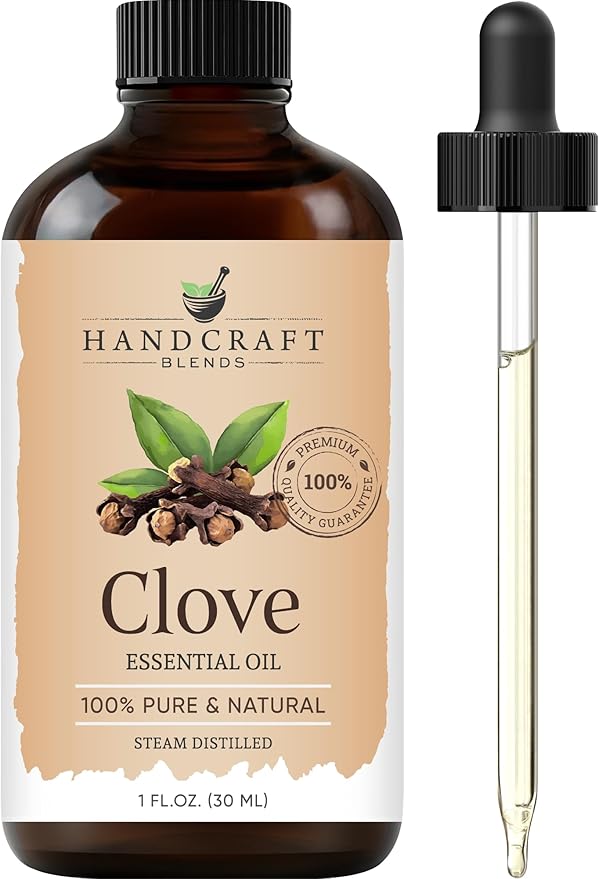 Handcraft Blends Clove Essential Oil – 1 Fl Oz – 100% Pure and Natural – Premium Grade Essential Oil for Diffuser and Aromatherapy, Skin, Massage, Candle and Soap Making Fragrance - Bloomnest