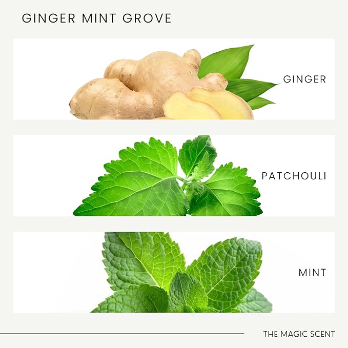 The Magic Scent Ginger Mint Grove Diffuser Oil - Hotel & Home Luxury Scents - Diffuser Oil Scents for Home Designed for Use in All Diffusers - 4 fl oz, 120 mL - Bloomnest