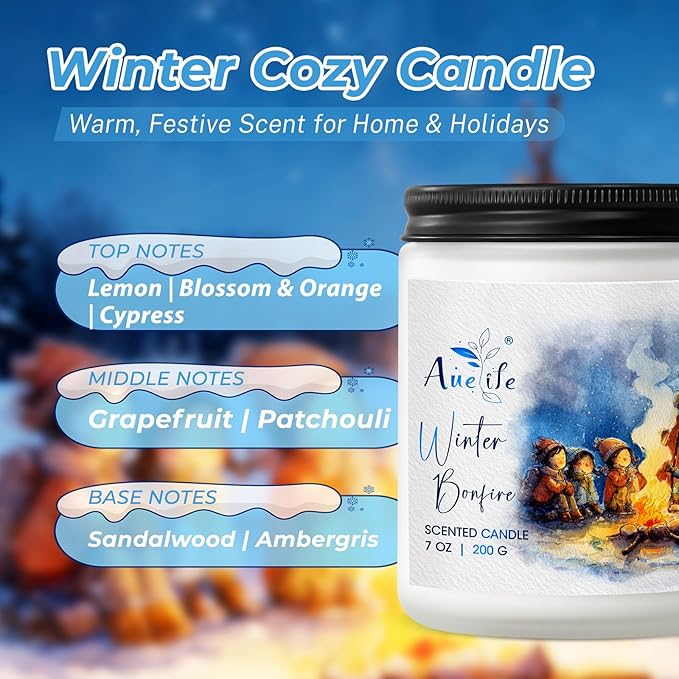 Winter Candle | Scented Soy Candles for Home - Warm Cozy Winter Candles, Holiday Aromatherapy Candle Gift for Women Men, Home Décor - Bloomnest