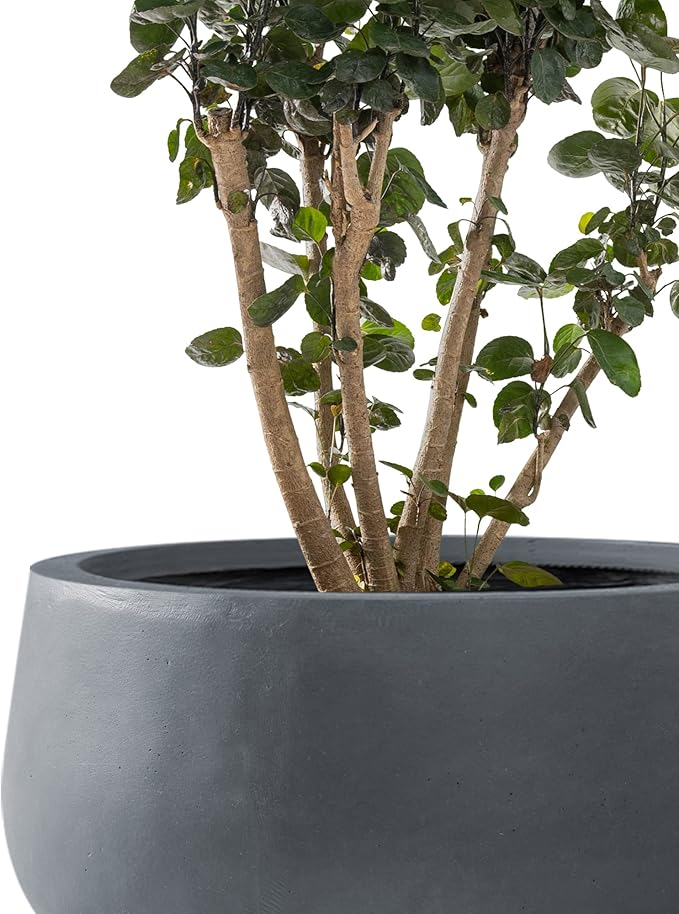 Kante 19.6",15.7",11.8" Dia Round Concrete Planters Set of 3, Outdoor Indoor Garden Plant Pots with Drainage Hole and Rubber Plug, Modern Curvaceous Design, Charcoal - Bloomnest