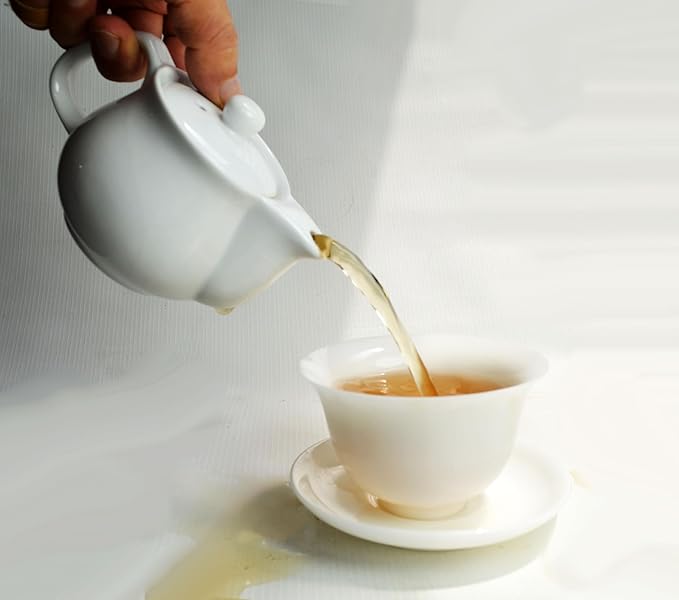 Porcelain Teapot, 9oz Small Tea Pot with Stainless Steel Filter Classical Chinese Tea Pots (White) - Bloomnest