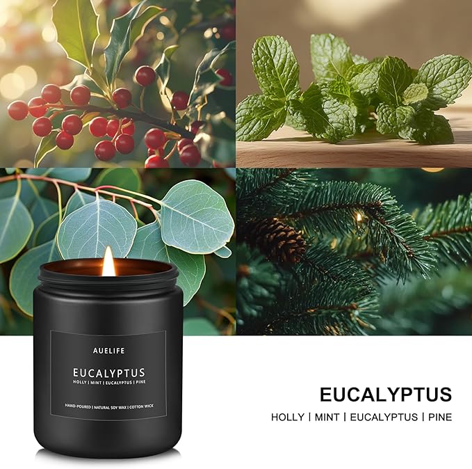 Eucalyptus Candle | Eucalyptus Scented Candles, Eucalyptu Leaf Fragrance for Indoor & Outdoor, Summer Candle Gifts, Natural Soy Candles for Home Scented - 7oz, 50 Hours Burn Time - Bloomnest