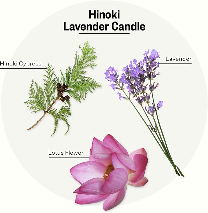 Apotheke 3-Wick Scented Candles for Home, Hinoki Lavender - 26 oz Soy Wax Jar Candle Gift for Women - Long-Lasting Fragrance with Perfume-Grade Essential Oils - Lavender, Lotus Flower, Hinoki Cypress - Bloomnest