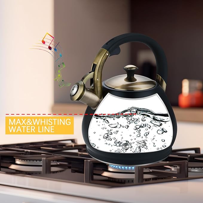 Tea Kettle Stovetop Whistling Kettle Teapot, 3Quart Tea Pot Stainless Steel Teakettle for Stove Top with Heat Proof Ergonomic Handle - Bloomnest