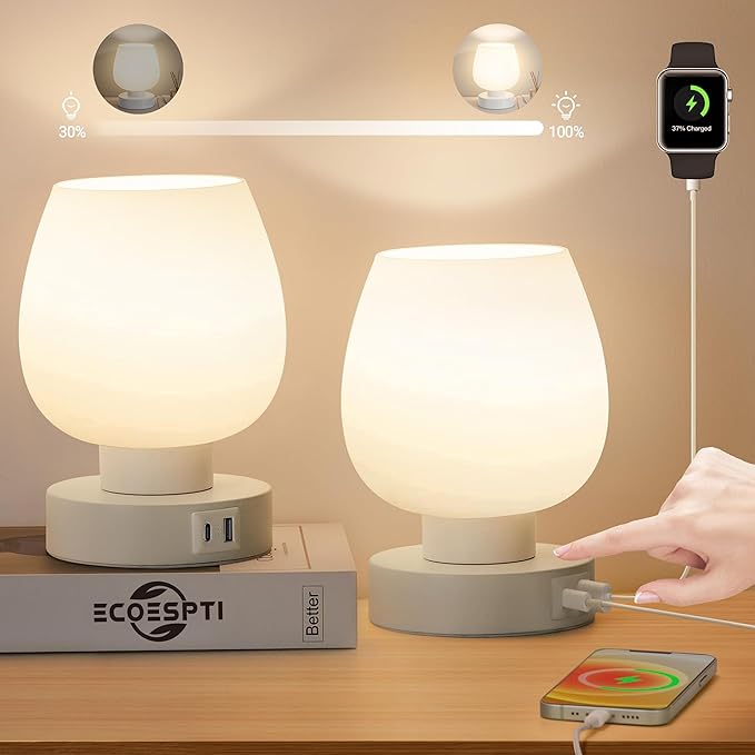 Touch Bedside Lamp, Mini Stepless Dimmable Table Lamps for Bedroom for Night Stands, Small Desk Lamp with Brightness Memory, USB Charging Ports, Warm LED Bulb, White, Round Shape, 2 Set - Bloomnest