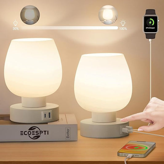 Touch Bedside Lamp, Mini Stepless Dimmable Table Lamps for Bedroom for Night Stands, Small Desk Lamp with Brightness Memory, USB Charging Ports, Warm LED Bulb, White, Round Shape, 2 Set - Bloomnest