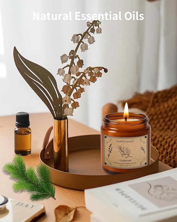 Candles for Home Scented, 16oz Large Jar Scented Candle – Cedarwood Soy Wax Candle with 100 Hour Burn Time, Long Lasting Aromatherapy Candle for Cozy Home Fragrance, Relaxation & Decorative Gift - Bloomnest