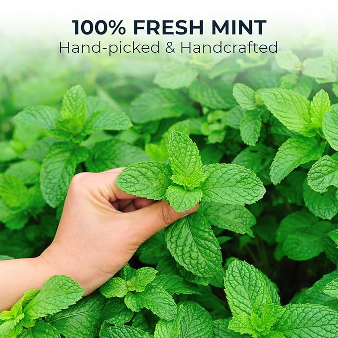 Peppermint Tea Bags - 15 Count, Mini Tea Samplers, Bamboo Tong Included, Re-Steep Herbal Tea, Cool Fresh Breath, Warm Heat, Stomach Relief, Relax, Support - Bloomnest