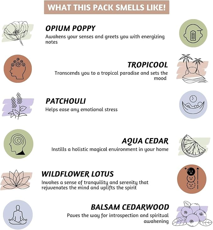 Folkulture Incense Cones Scented | Set of 6 Fragrances (120 Cones) with Incense Cones Holder | Opium Poppy Patchouli Incenses | Mango Pineapple, Balsam Cedarwood | Organic Variety Pack Inscents