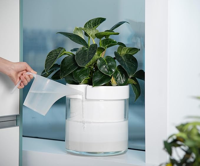 Phoenix Vine 10 Inch Self Watering Planter, White Terracotta Clay Pot with Glass Reservoir for Indoor Plants, Herbs, Flowers, Set of 1, 52-B-I-1 - Bloomnest