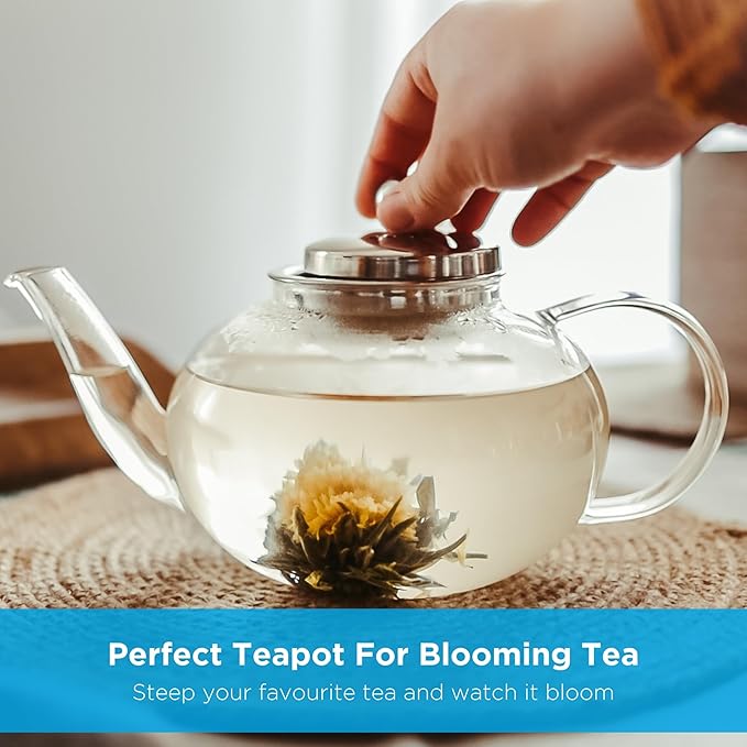 GROSCHE - Joliette Borosilicate Glass Teapot with Stainless Steel Infuser - 5 Cup Glass Teapot with Removable Strainer for Loose Leaf & Herbal Tea, Dishwasher Safe, 42 oz