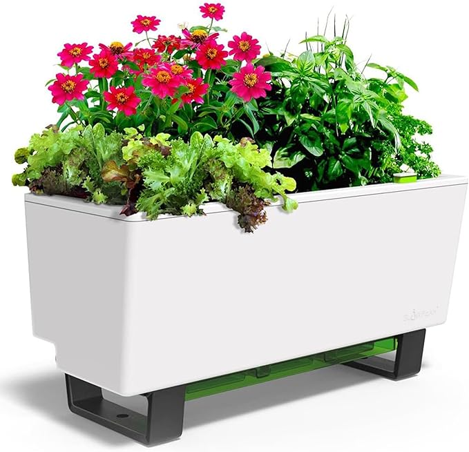 Glowpear Self-Watering Mini Bench Planter - 23.6" in Pot, Free Standing, UV Stable, Scalable, Indoor | Outdoor Pot with Water Gauge, for Home Kitchen Windowsill Gardening - Bloomnest
