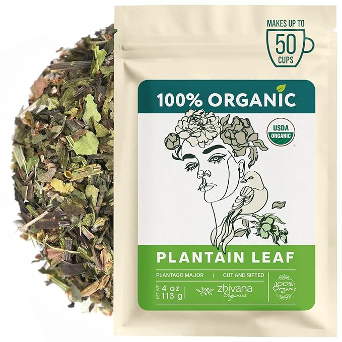 Plantain Leaf Organic (4 oz.) – Broadleaf Plantain Tea Loose Leaf (Plantago Major) – Llanten Planta Medicinal - Herbal Tea for Digestion, Respiratory Health & Detox - Bloomnest