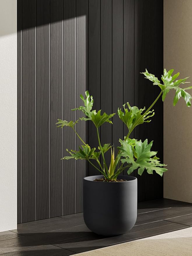 LE TAUCI 10 Inch Plant Pot, Ceramic Pots for Plants with Drainage Hole and Rubber Plug, Plant Pots Indoor for Home Garden Patio Office, Cylinder Planters for Indoor Plants, Charcoal Gray - Bloomnest
