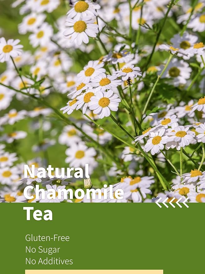 HYNTMYT Chamomile Tea Bags, 1g/bag, Natural & Pure Chamomile Flowers Herbal Tea, Caffeine Free, 120 Count - Bloomnest