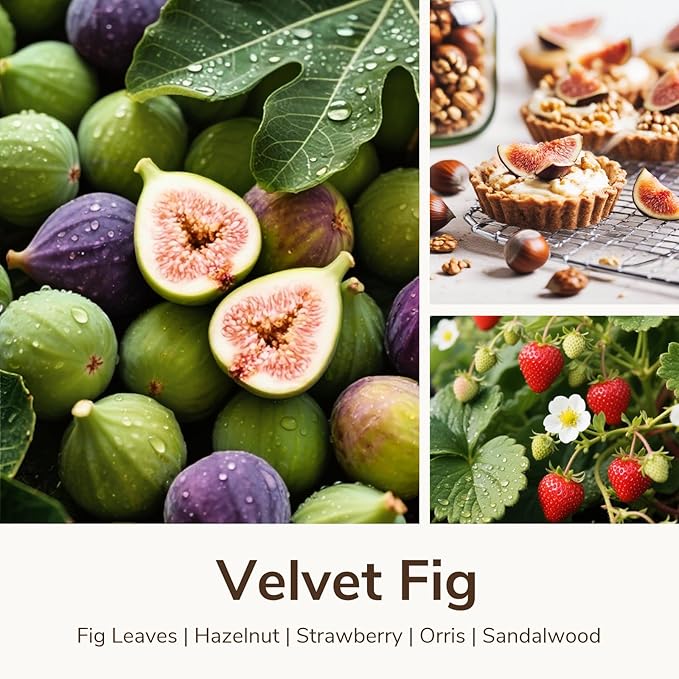 Goodpick Velvet Fig Scented Candle, Soy Wax 22oz 120H Long Burning, Juicy Fig & Creamy Hazelnut, Home Aromatherapy Candles - Bloomnest