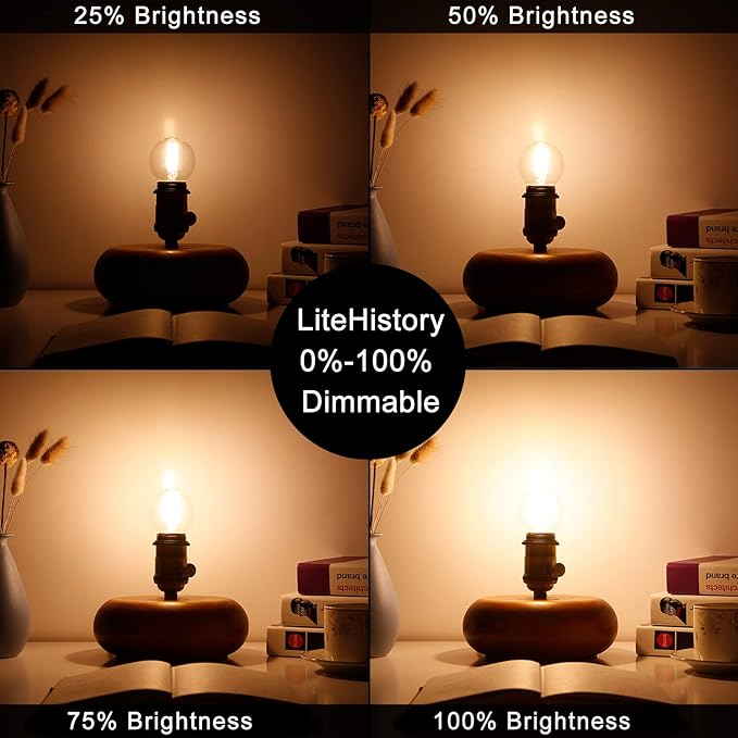 LiteHistory Dimmable E26 Edison Bulb G16.5 Light Bulb 6W Equal 60 watt Light Bulb AC120V Warm 2700K E26 led Bulb for Pendant,Chandeliers,Vanity,Wall sconces Edison Light Bulbs 60 Watt 600lm 6Pack - Bloomnest
