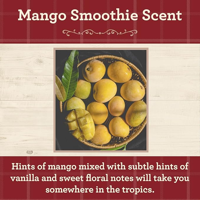 Our Own Candle Company, Mango Smoothie Scented Mason Jar Candle, 100 Hour Burn Time, 13 Ounces - Bloomnest