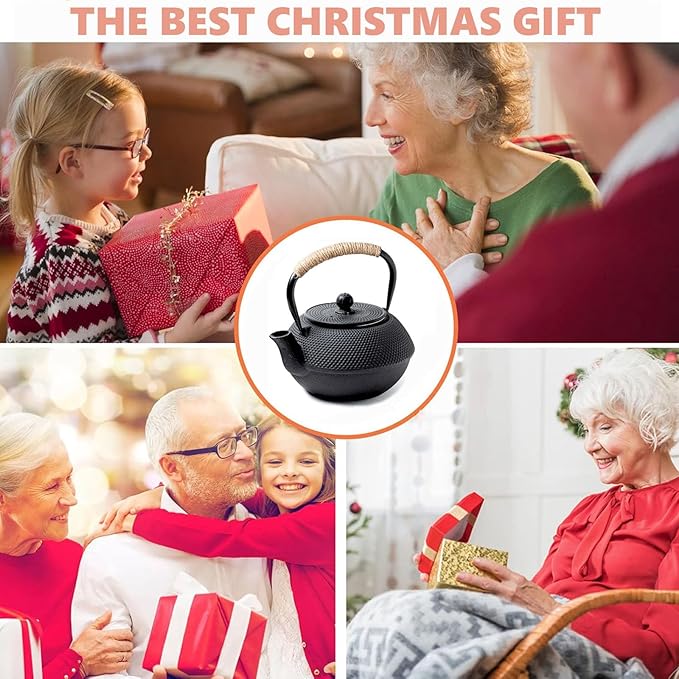 HwaGui Japanese Tetsubin Cast Iron Teapot, Iron Tea Pot with Infuser for Loose Tea, Cast Iron Tea Kettle Stovetop Safe, Teapot Coated with Enameled Interior, 600ml/20oz