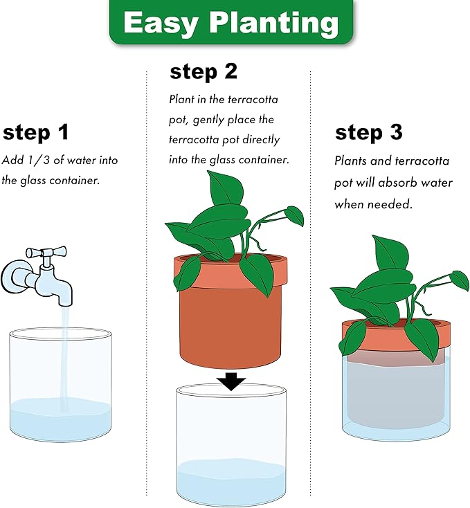 Phoenix Vine 6 Inch Self Watering Planter Pot, Terracotta Clay Pot with Glass Reservoir for Indoor Plants, Herbs, Flowers, Set of 2, 52-A-F-2 - Bloomnest
