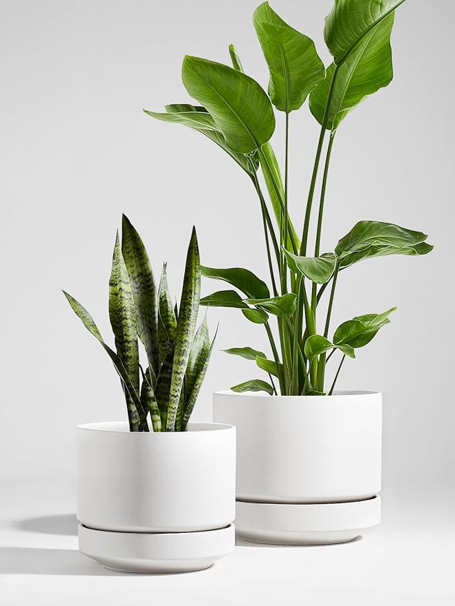 LE TAUCI Large 14 Inch Plant Pot with Saucer | Ceramic Outdoor & Indoor Big Planter Pot | Drainage Hole, Mesh Pad & Plug | Unglazed Porous | Modern Minimalist for Home and Patio – Chalk White - Bloomnest