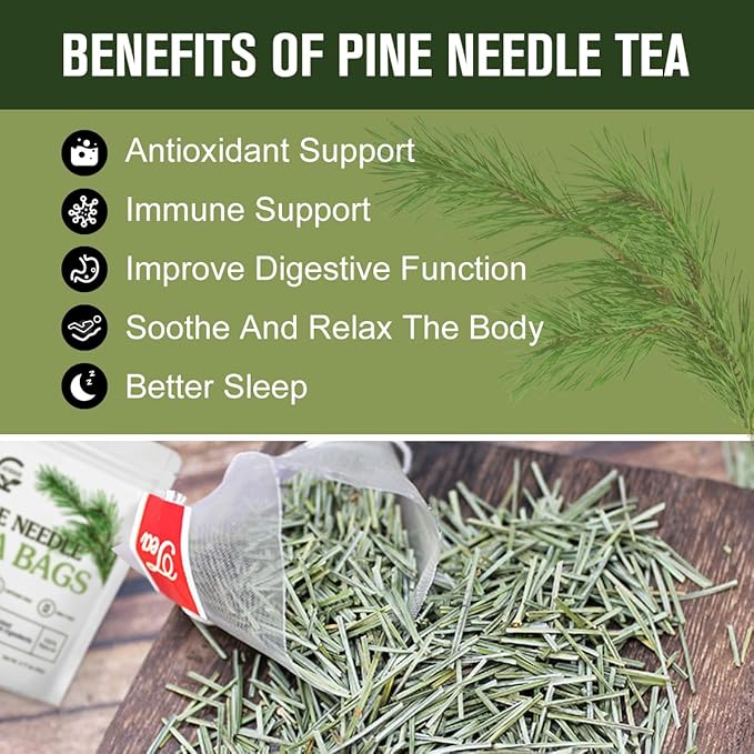 Organic Pine Needle Tea Bags - 100% Pure Natural Dried Pine Needles Herbal Tea, Effectively Antioxidant & Immune Support, Caffeine Free, 30 Tea Bags - Bloomnest
