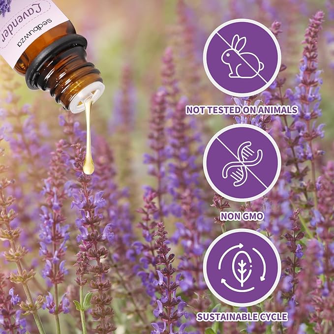 Sedbuwza Lavender Eucalyptus Essential Oil Set, Lavender Fragrance Oil Eucalyptus Scent Oil Set for Diffuser, Aromatherapy, Massage, Soap, Candle Making 2 x 10 ml Sedbuwza