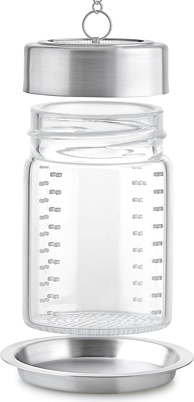 Teabloom Elegant Non-Toxic Loose Tea Glass Infuser – Perfect for Whole-Leaf White, Green, Oolong, Black & Herbal Teas – Lead-Free – Small or Large Size - Bloomnest