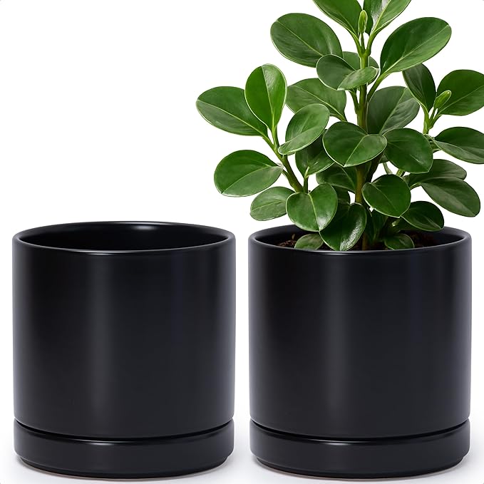D'vine Dev Set of 2 Plants Pots, 6.5 Inch Ceramic Planter Pot for Plants with Drainage Hole and Saucer, Black, 94-V-C-2 - Bloomnest