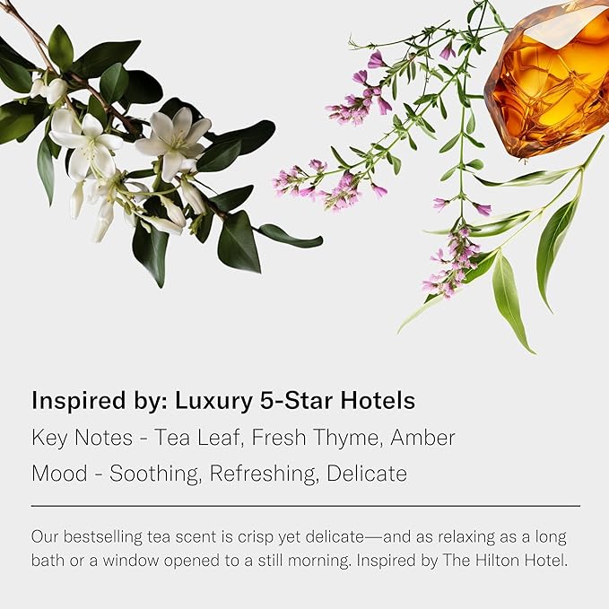 AromaTech White Tea and Thyme Aroma Essential Oil Blend: Luxury Hotel Inspired Aromatherapy with Tea Leaf, Fresh Thyme & Amber for Ultrasonic Diffusers & Nebulizers - 4 fl oz, 120 ml - Bloomnest