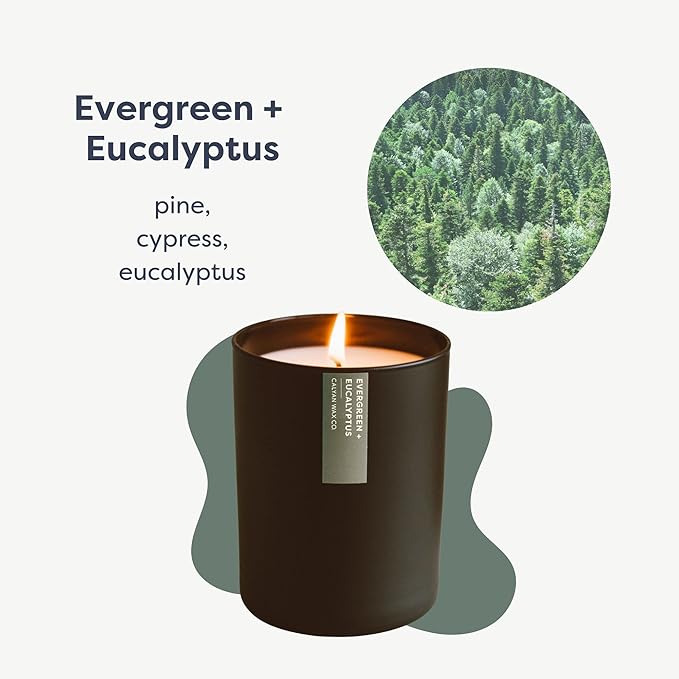 Calyan Wax Co. Evergreen & Eucalyptus Scented Candle - 75 Hour Burn - Luxury Non Toxic Soy Wax Candles - Long Lasting Black Tumbler Jar Candle for Home - 10.2oz - Bloomnest