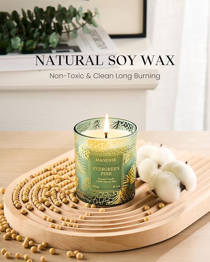 M&SENSE Evergreen Pine Scented Vegan Soy Candles,8.1oz 42-Hour Slow Burning Time,No Toxin Candles for Fall Winter Aromatherapy Calming Home Fragrance,Fall Winter Thanksgiving Christmas Gifts - Bloomnest