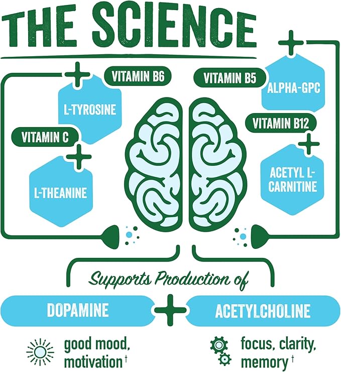 BrainJuice Decaf Brain Support Shot, Gluten Free Supplement Shots for Energy & Focus, Healthy Drinks with Alpha GPC, Vitamin B & Decaffeinated Green Tea Leaf, Classic, 2.5 fl oz, 12 Pack - Bloomnest