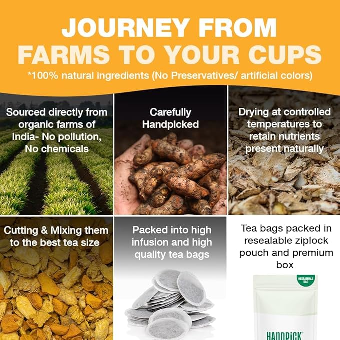 HANDPICK, Organic Turmeric Ginger Tea (100 Tea Bags) | Indian Origin | Caffeine Free, Gluten Free, Non-GMO | Savory & Spicy I Ecofriendly round tea bags - Bloomnest