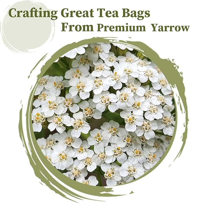 FullChea - Yarrow Tea Bags, 50 Count, 2g/bag - Premium Yarrow Herb - Non-GMO - Caffeine-free - Aid Digestion & Boost Immunity - Bloomnest