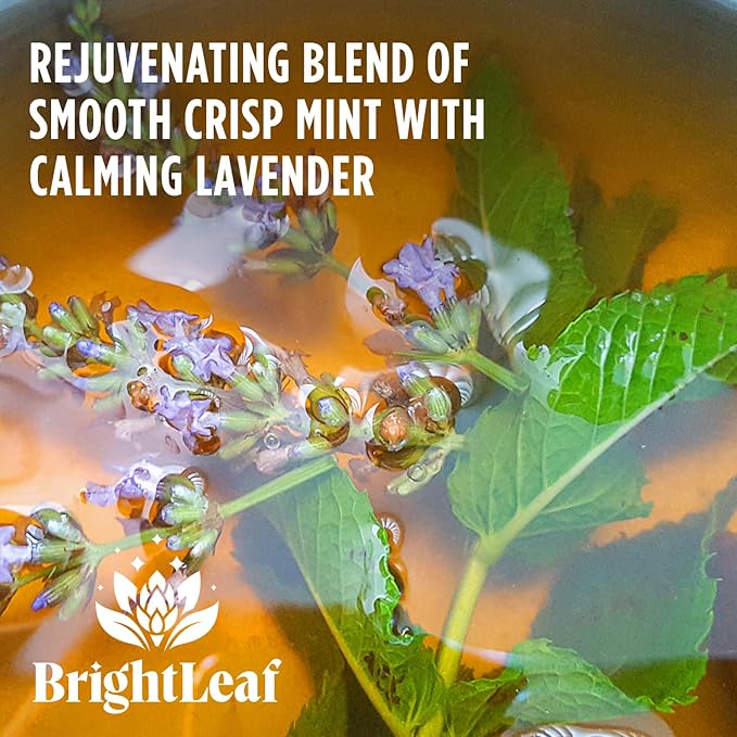 BrightLeaf Regenerative Organic Sparkling Tea, Mint Lavender, 12 oz Cans (Pack of 12) – Zero Sugar & Zero Calories – Organic Herbal Tea Drink – Mood-boosting ingredients – Craft Brewed Botanical Beverage - Bloomnest