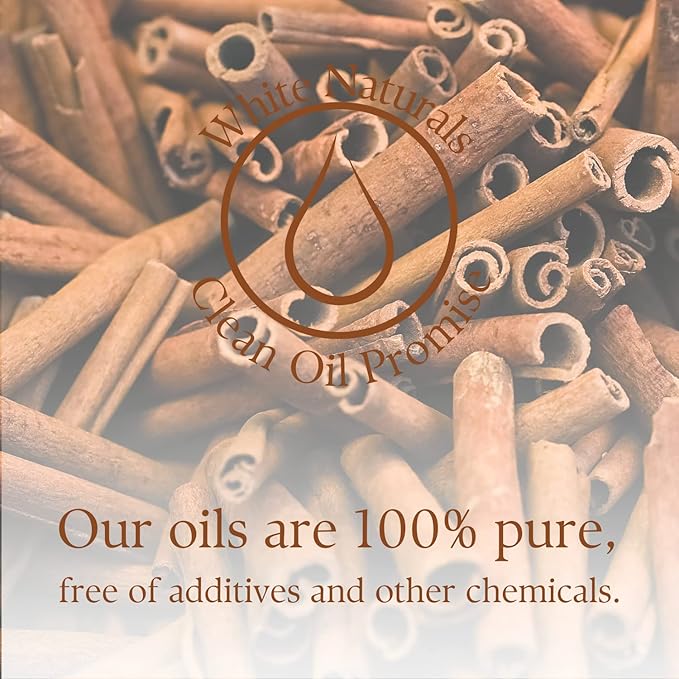 Cinnamon Essential Oil, 100% Pure Natural Organic Aromatherapy Oil for Diffuser/Humidifier, Steam Distilled, Therapeutic Grade, Perfect for Relaxation, Hair & Skin Care, DIY Soap & Candle Making - Bloomnest