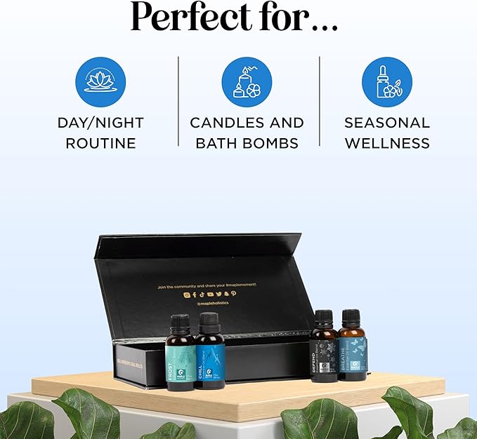 Winter Essential Oils Set for Diffuser - Large 100% Pure Holiday Essential Oil Blends Gift Set with Frost Chill Defend and Breathe Blends - Perfect Aromatherapy Gift for All Occasions (4x30mL) - Bloomnest