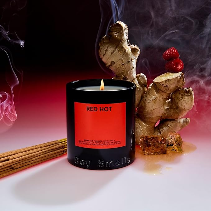Boy Smells - Ash Scented Candles for Men and Women - 8.5 oz - Soy, Coconut Wax Candle Blend - Aromatic Candles for Home with Black Charcoal, Rare Woods and Clove - 50-Hour Burn - Cotton Wick - Bloomnest