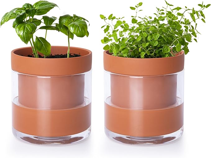 Phoenix Vine 4 Inch Self Watering Planter Pot, Terracotta Clay Pot with Glass Reservoir for Indoor Plants, Herbs, Flowers, Set of 2, 52-A-E-2 - Bloomnest