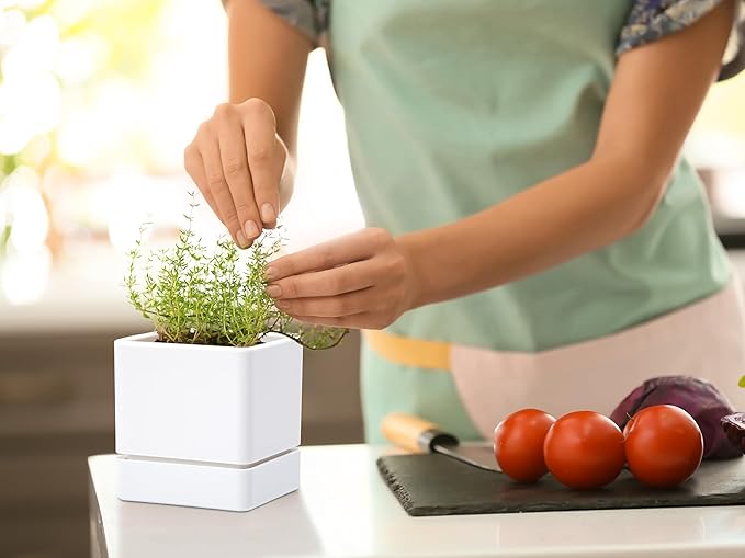 4 Inch Herb Planter Pot, Plastic Planter with Drainage Holes and Saucer, Modern Decorative Gardening Pot for Indoor Plants, Flowers, Herbs, Succulents, White, Set of 2, 76-Y-A-2 - Bloomnest