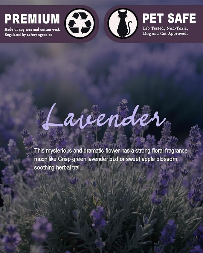 Lavender Scented Candles for Women Gift, Mother's Gift 60 Hours Aromatherapy Candle, Soy Candles for Home Scented, Birthday Gifts Mothers Day Candle for Home - Bloomnest