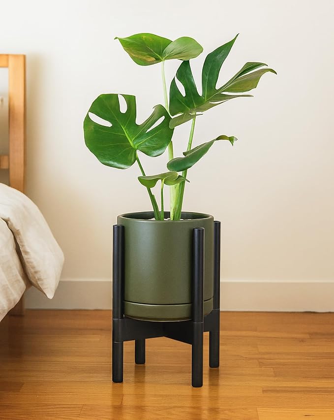 D'vine Dev Ceramic Planter with Ebony Stand - 8 Inch Modern Round Flower Pot with Wood Planter Holder, Olive, 55-B-M-J - Bloomnest