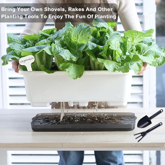 Window Box Planter 6 Pcs, 18 Inches Rectangle Flower Pots with Drainage Holes and Trays, Vegetable Planters for Windowsill Patio Garden Balcony Home Porch Yard Indoor Outdoor (White, 18*10*6 inch) - Bloomnest