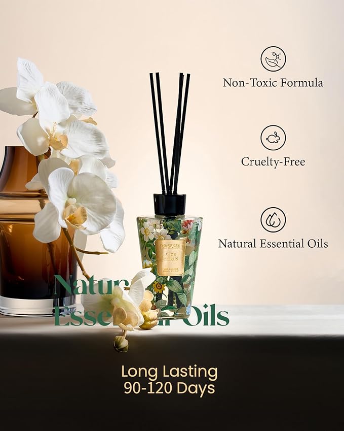 M&SENSE Sage Citrus Reed Diffuser Set - 8.79fl oz Home Fragrance Non-Toxic Essential Oil Diffuser with Sticks, Air Freshner Gifts with Long Lasting Fragrance MSENSE